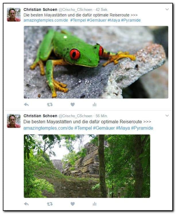 Tweets mit Foto