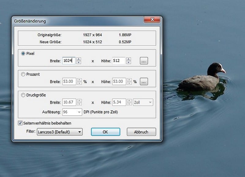 Bilder für Social Media optimal vorbereiten - Größe und Seitenverhältnis bearbeiten mit Gimp und Faststone
