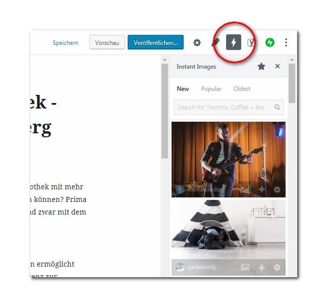 Gutenberg-Editor: Seitenleiste des Plugins Instant Images